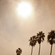 Illustration for article titled Southern California Is Losing Its Clouds and Thats Bad News For Fire Seasonem/em